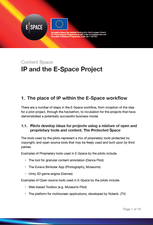 03. E-Space and IP factsheet