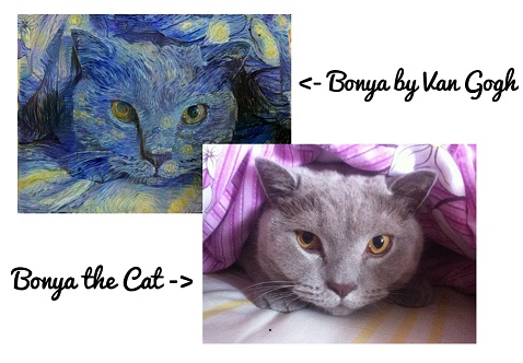 picasso-cat-2